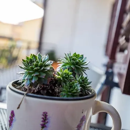 Pifar Apartament Medulin