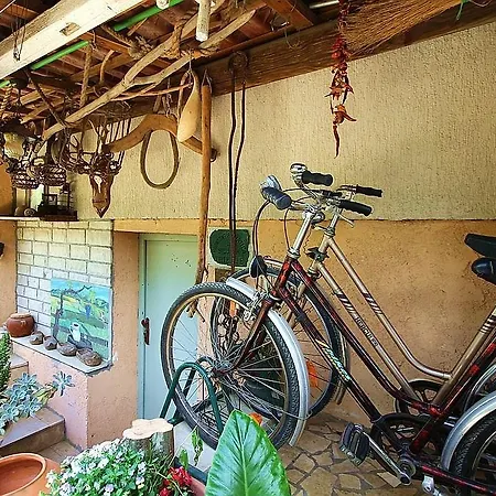 Apartman Pifar Medulin