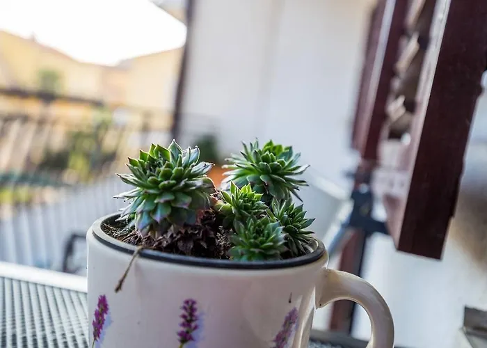 Pifar Lejlighed Medulin